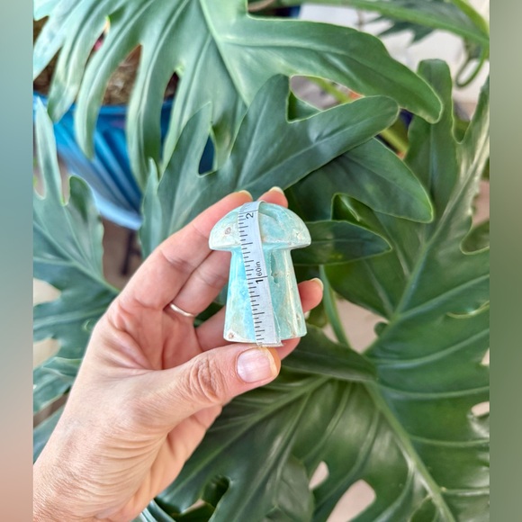 Blue Caribbean Calcite Mushroom - Picture 6 of 6